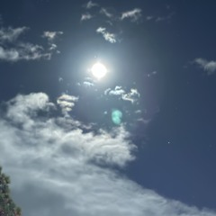 𝗟𝗔𝗧𝗘𝗟𝗬