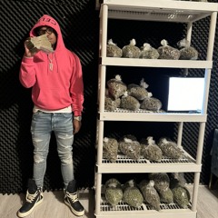 røll up freestyle [prod.bricksy]