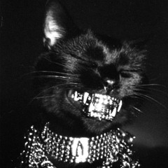 The Disco Wizard [03]