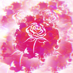 Rose Ft.5Ta demo [2024.01.04] EP [RAINBOW] 멜론/지니/플로/스포티파이/애플뮤직 등 모든 음원 사이트 발매]
