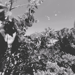 blu day.wav (sketch #1)
