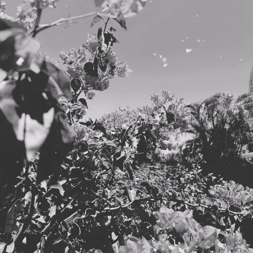 blu day.wav (sketch #1)