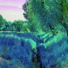 Ronny Rough - Technoid.mp3