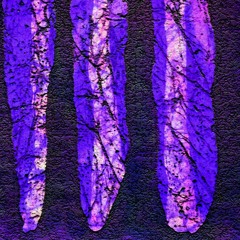 Free Expression