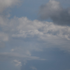 whoop eating hawaiian piza