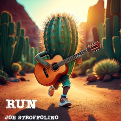 Run 2025 Version