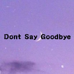 Dont Say Goodbye