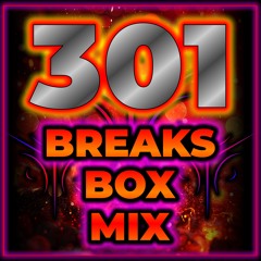 Break Beat Mix 301