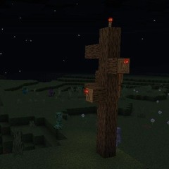 A Warden’s Song - made by Minecraft