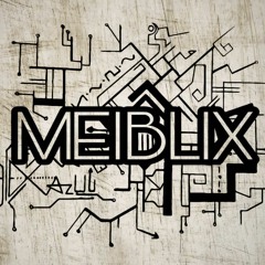 MEiBLix - AssKalieren (FullTrack)
