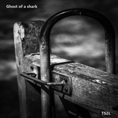 Ghost of a shark (in the style of Tom McRae)