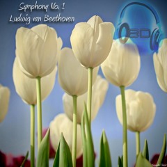 Symphony No. 1 In C Major, Op. 21- I Adagio molto - Allegro con Brio - Ludwig Van Beethoven (8D Binaural Remastered - Music Therapy)