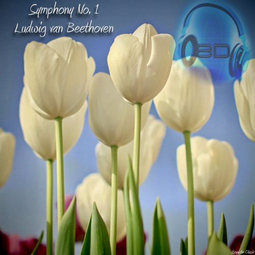Symphony No. 1 In C Major, Op. 21- I Adagio molto - Allegro con Brio - Ludwig Van Beethoven (8D Binaural Remastered - Music Therapy)