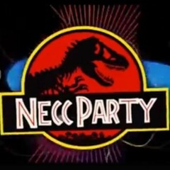 NECC PARTY MIX 2.0 - 2021 - 100 perces track by BenBoo