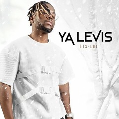 dis lui by Ya Levis remix DJ Wowww and Jayflexbeats