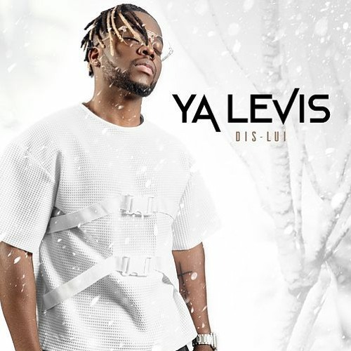 dis lui by Ya Levis remix DJ Wowww and Jayflexbeats