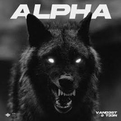 VAND3ST X T33N - Alpha