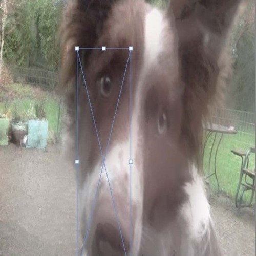 highsamz - nienormalne 0_o