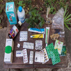 mozambican rso 💧💉 (prod @bonsai gardens)