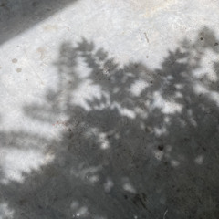 03 phan quyet sau cung