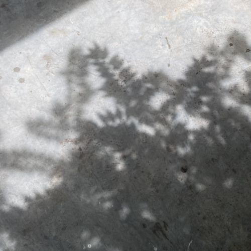 03 phan quyet sau cung