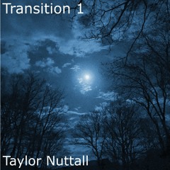 Transition 1