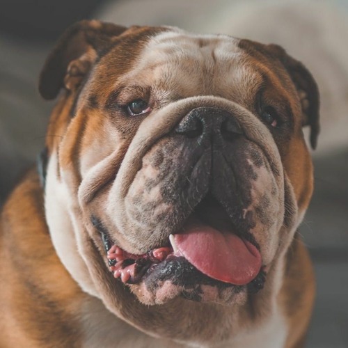 PAUL HOWLET - UK GARAGE SET -part 2- WELLCOME WINTER 2023 part 2.mp3