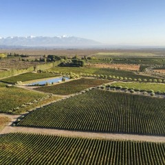 Cristian Moor Sobremesa De Matices Agricultura Regenerativa En La Vitivinicultura