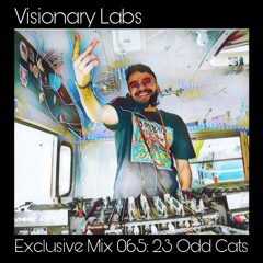 Exclusive Mix 065: 23 Odd Cats