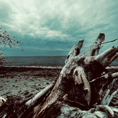 Beach_Bunker_Sessions_Tape_1a