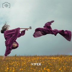 Bisweed - Viper (SIP013) [RWND140 Premiere]