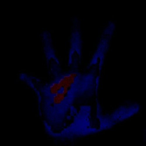 Senglar - Mediterraneo Ciclos avec Permafrost