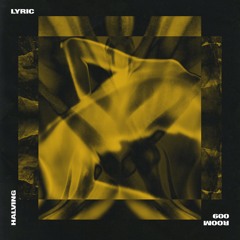 BCCO Premiere: Lyric - Halving (Marcal Remix) [ROOM009]