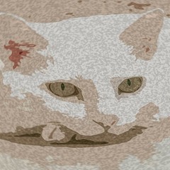 BUGI - LEMON (R.I.P)