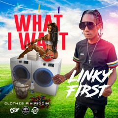 Linky First - What I Want