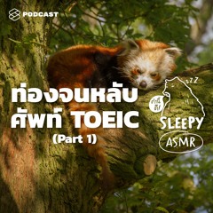 คำนี้ดี SLEEPY EP.24 ASMR | ท่องจนหลับ ศัพท์ TOEIC | Part 1 (Jungle Rain V.)