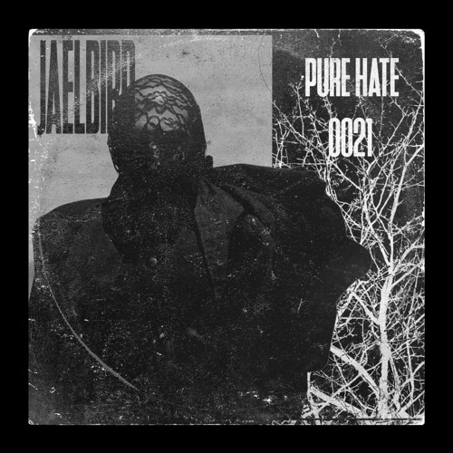 JÆLBiRD - PUREHATEPODCAST0021 [PHP0021]