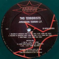 Two Terrorists - I Come From Brooklyn