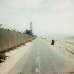 Like Spring We Grew Anew