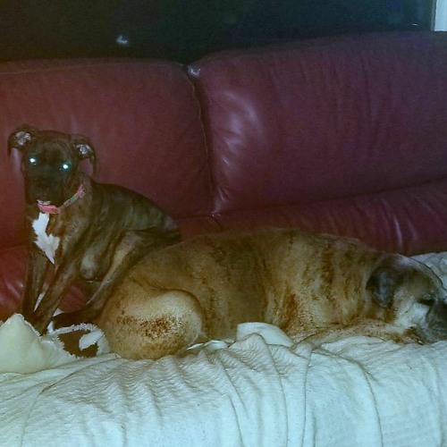 I don't want your head on my shoulder (Prod. @KinoDa1 x @Ivprodd)