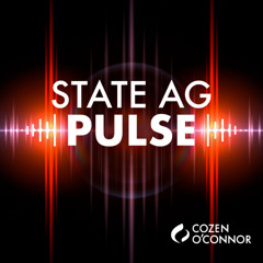 With the Reshaping of Government, More Power To State AGs