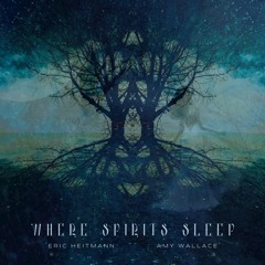 Where Spirits Sleep (Eric Heitmann and Amy Wallace)