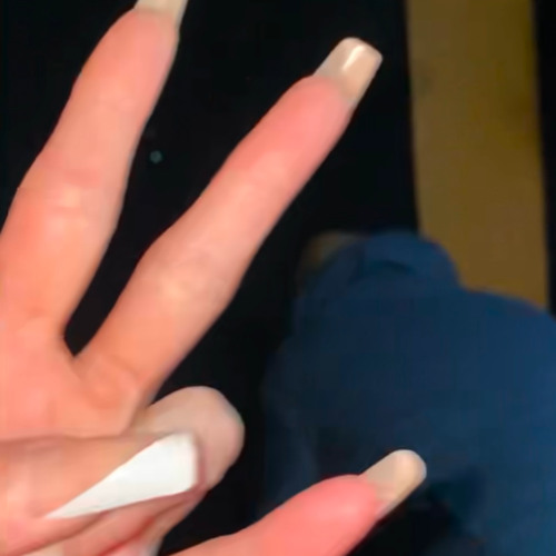 ֢𝙲𝚁𝙴𝙰𝚃𝚄𝚁𝙴𝚂 𝙾𝙵 𝒯𝒽𝒶 𝙽𝙸𝙶𝙷𝚃⋆✴︎˚｡⋆