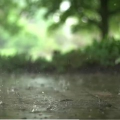 Mosom Bahare  (Cover)