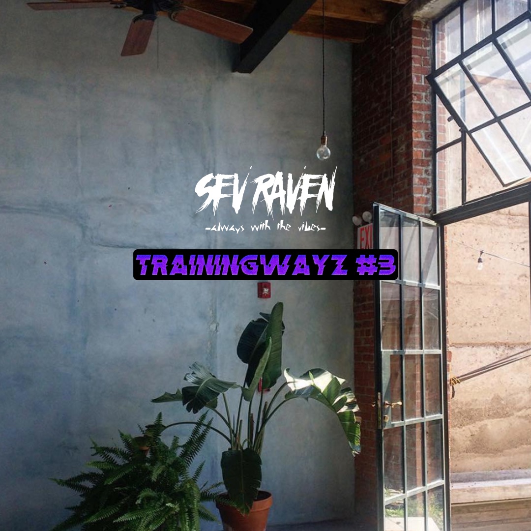 Lawrlwythwch TrainingWayz #3 (Hip Hop Mixtape)