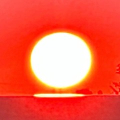 Red Herring: The Epilogue