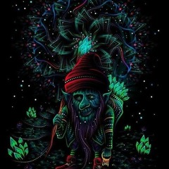 Dj Set Elektra 2021 @ Psilocybin Project / Aldeia rec
