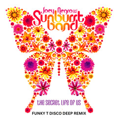 Joey Negro & The Sunburst Band - Secret Life Of Us (Funky T Disco Deep Remix)