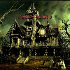 Lil Peep - Haunt U (Hardtekk)