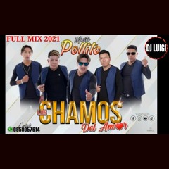 LOS CHAMOS DEL AMOR (Full Mix 2021) |Luigi Dj☆●
